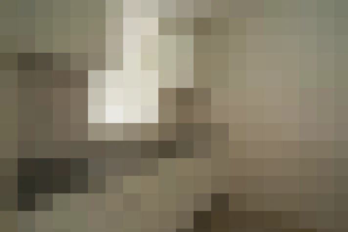  / #7