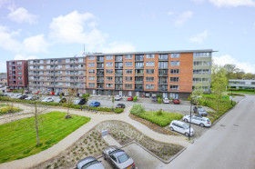 Studio in Dijk en Waard