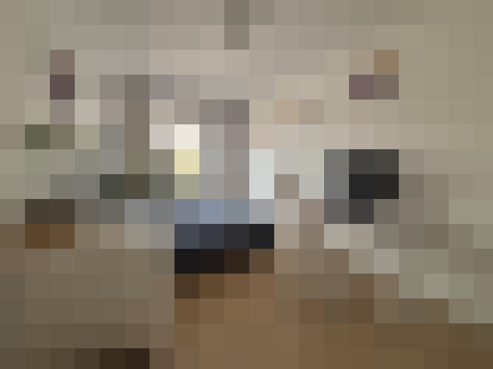  / #7