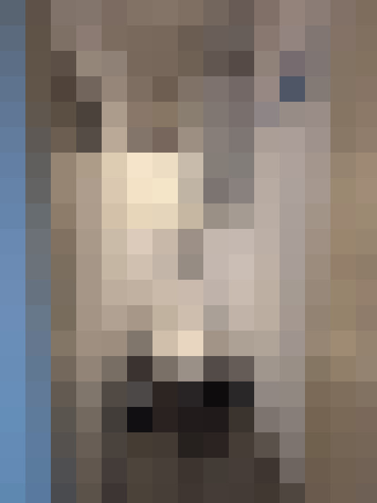  / #16