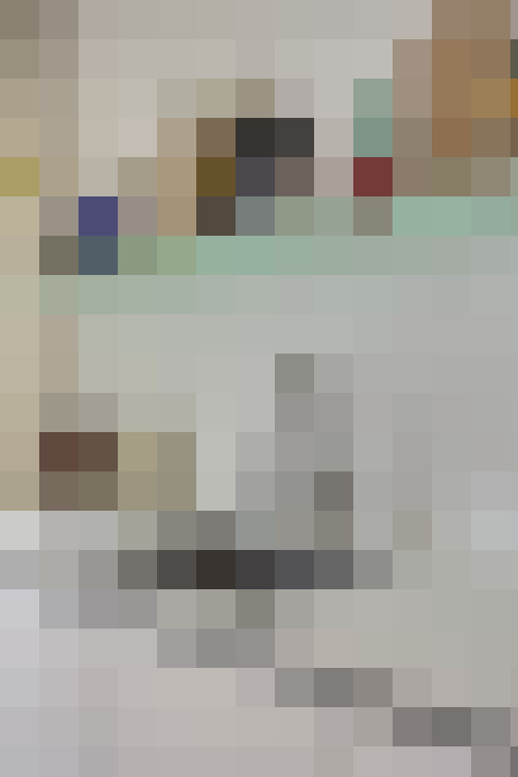  / #13