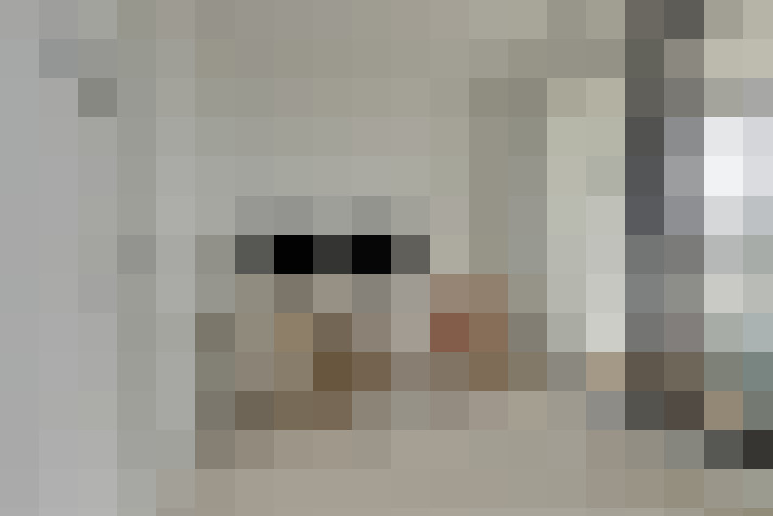  / #22