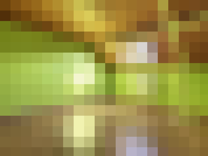  / #9