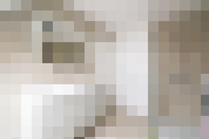  / #20