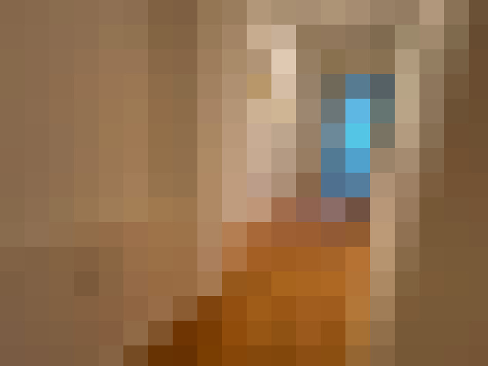  / #7
