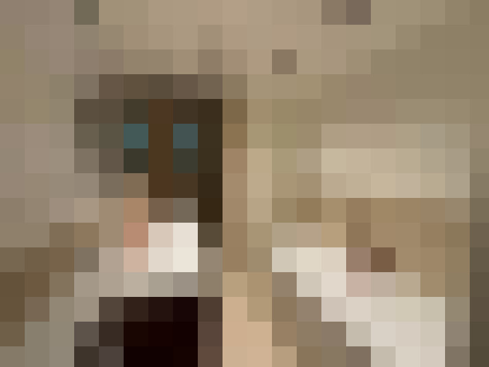  / #16