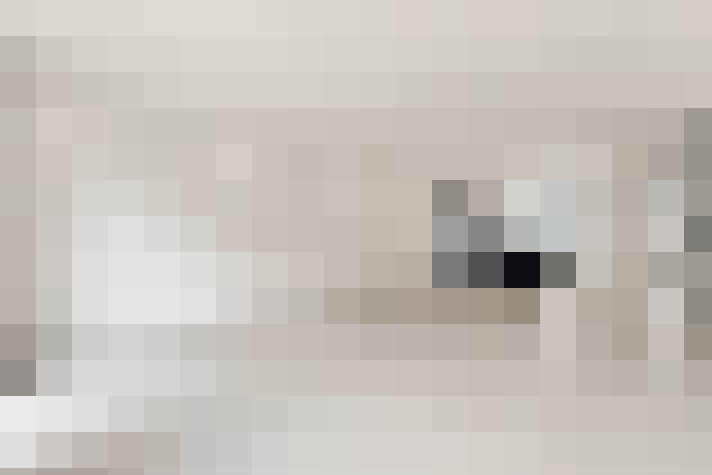  / #24