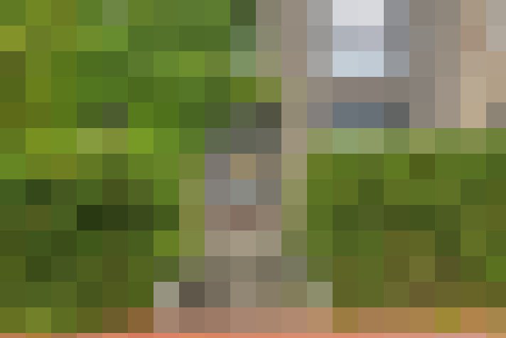  / #20