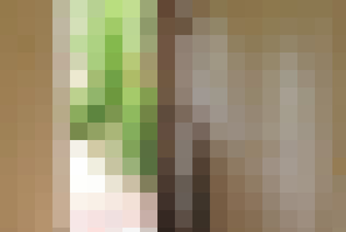  / #18