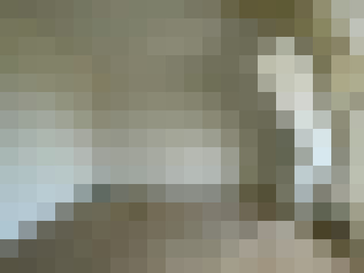  / #15