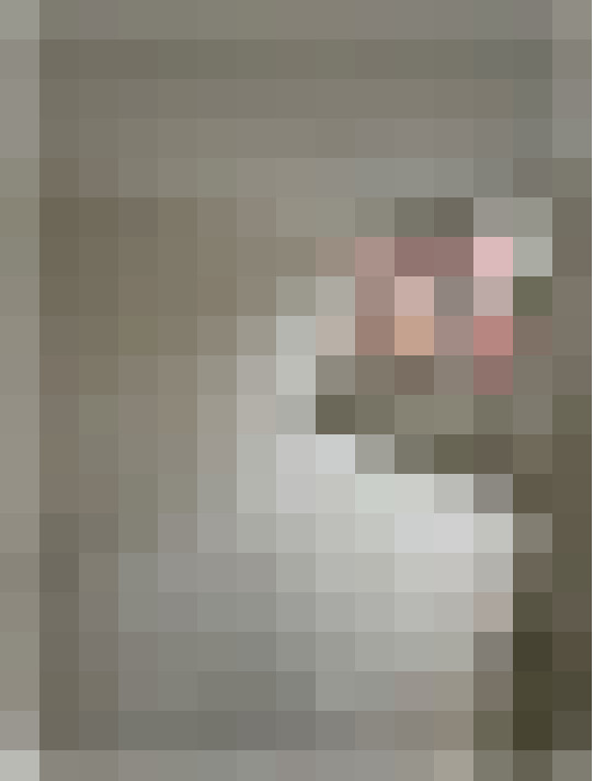  / #19