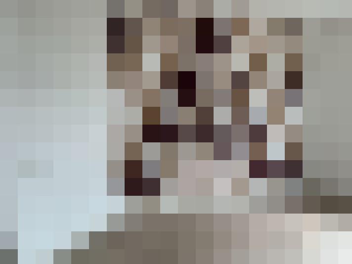  / #7