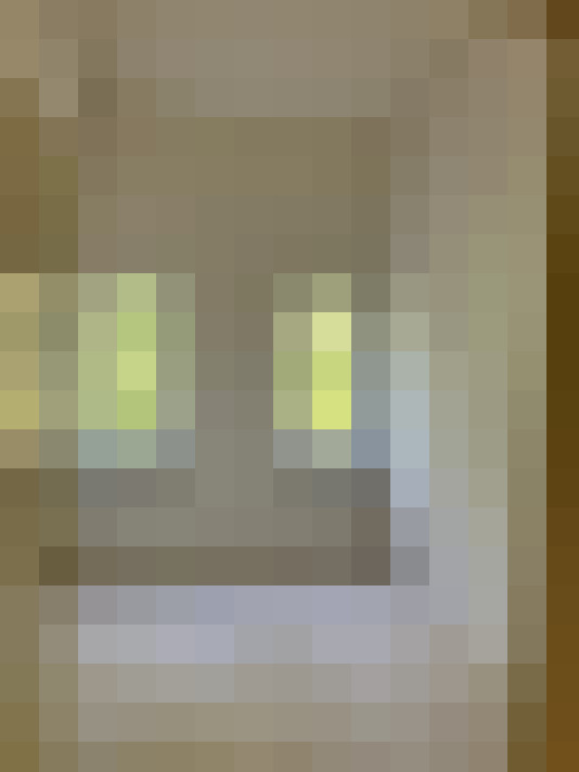  / #11