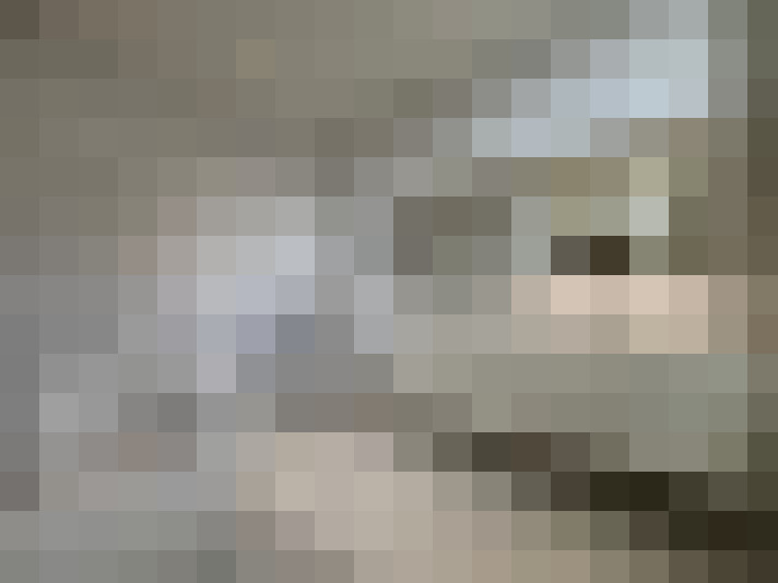  / #17
