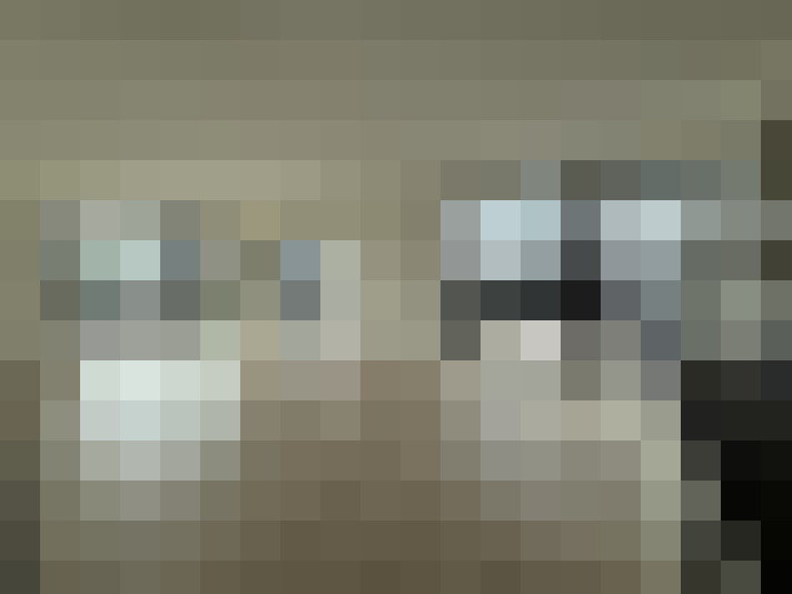  / #14