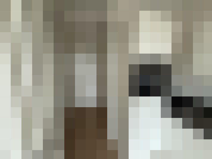  / #21