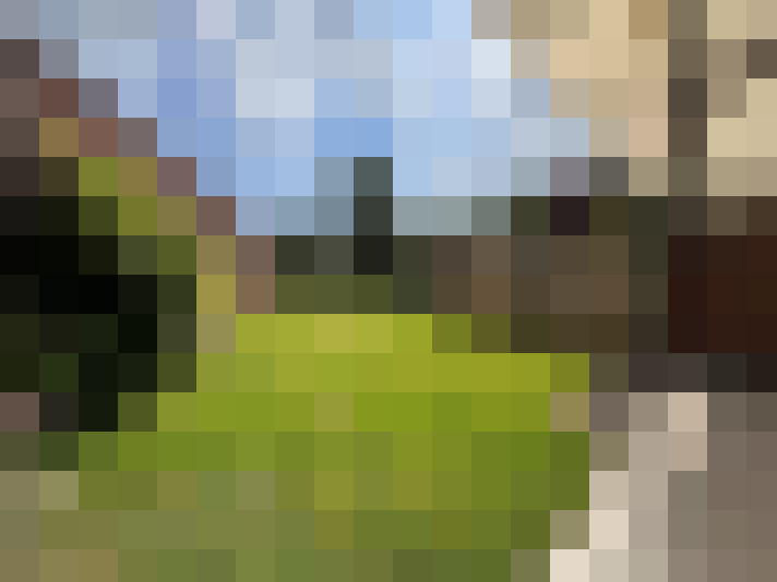  / #13