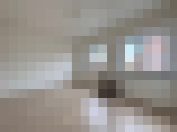  / #22