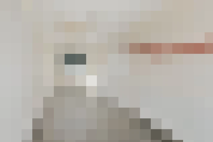  / #16