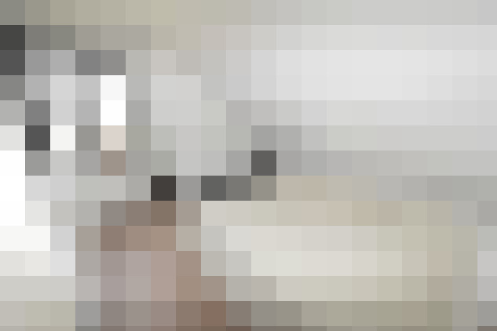  / #16