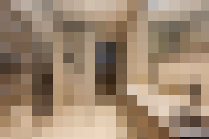  / #19