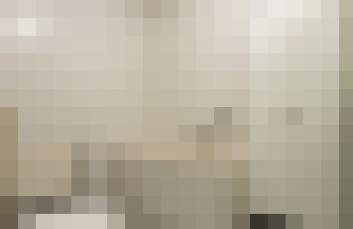  / #19