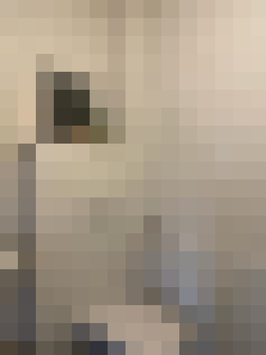  / #11