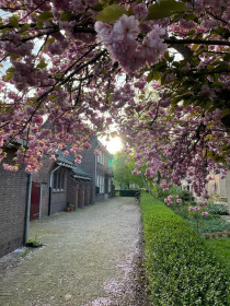 Mieszkanie — Breda
