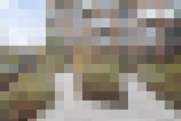  / #17