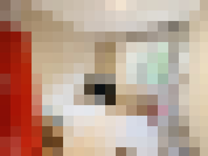  / #8