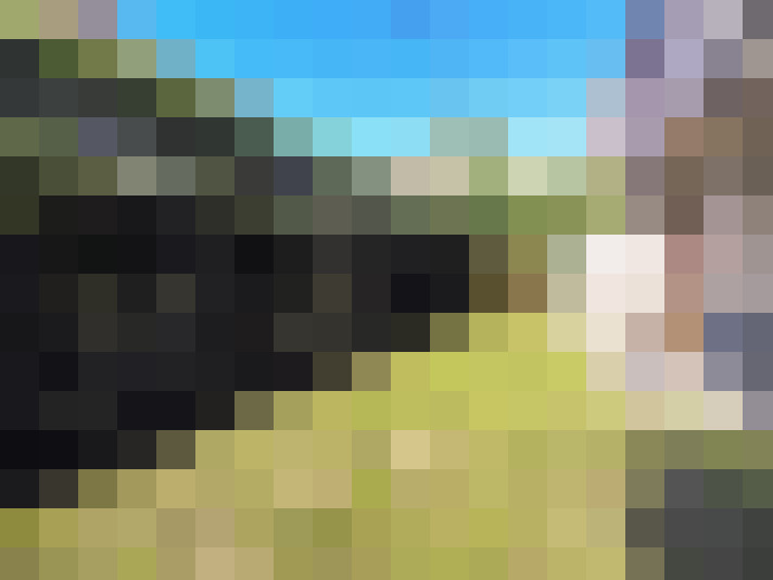  / #7