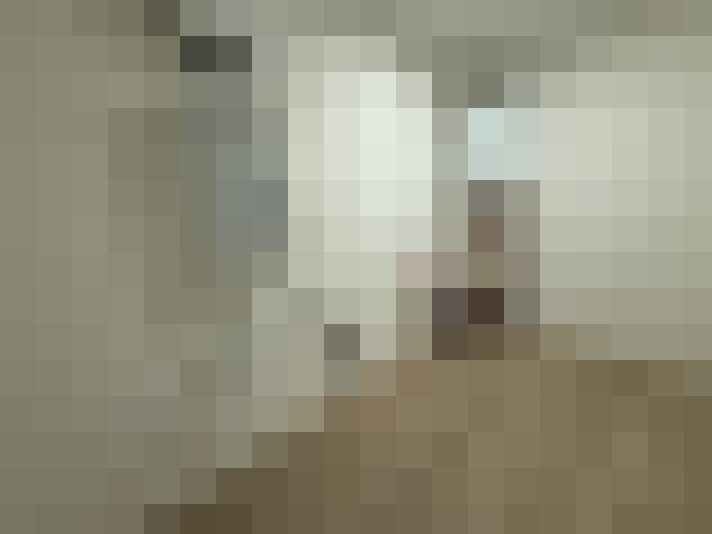  / #24