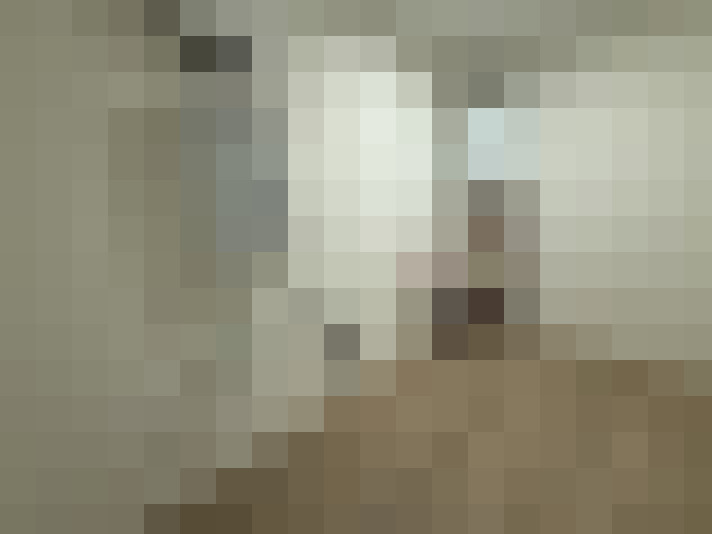  / #23