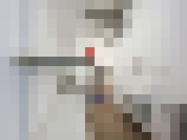  / #11