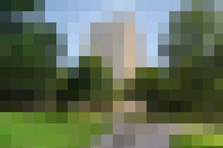  / #15