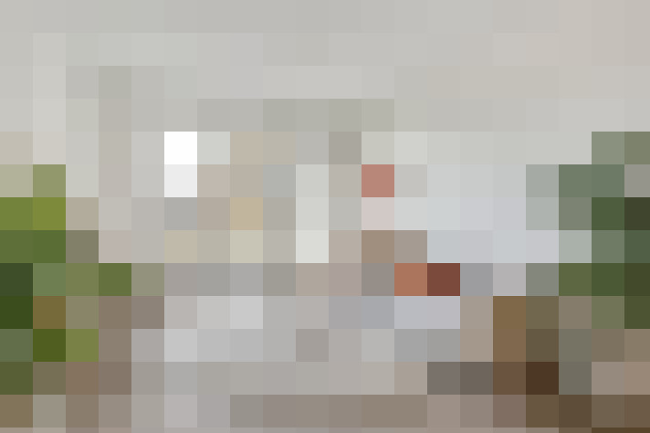  / #19
