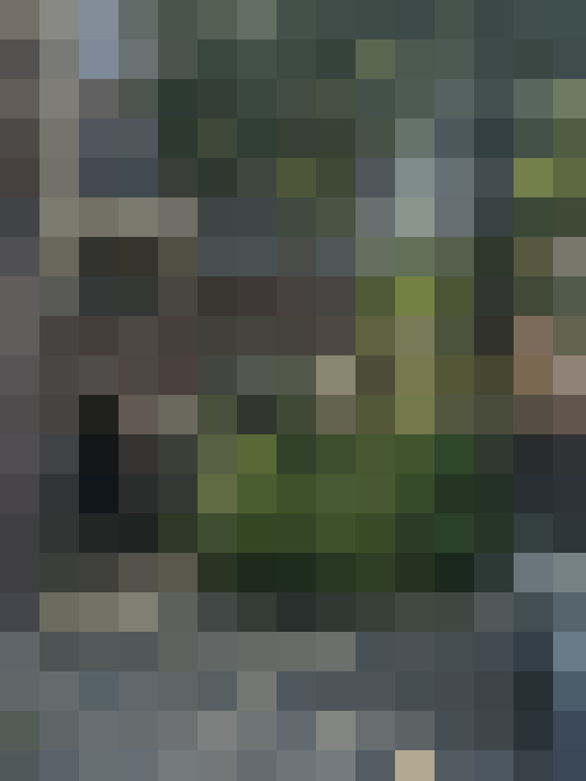  / #17