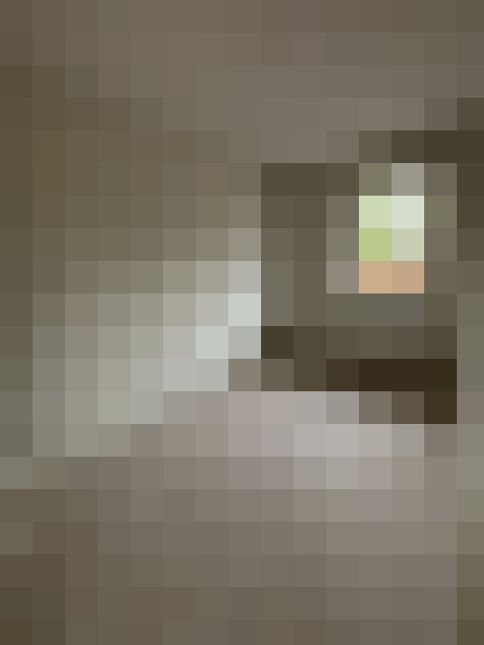 / #16