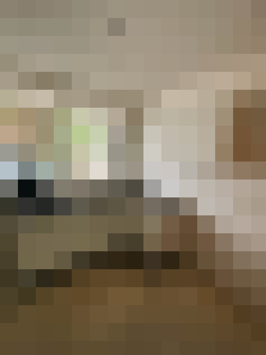  / #17