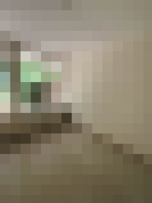  / #21