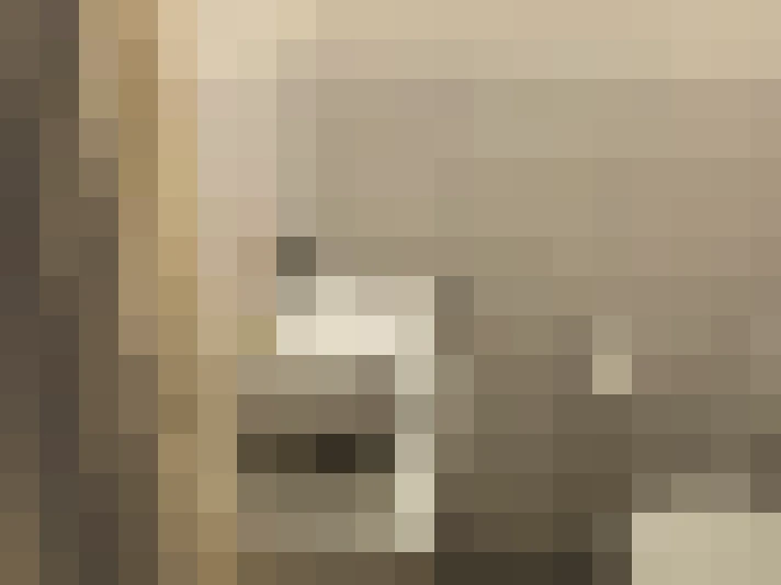  / #15