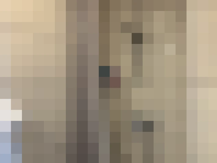  / #13
