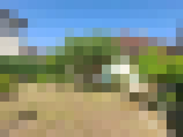  / #12