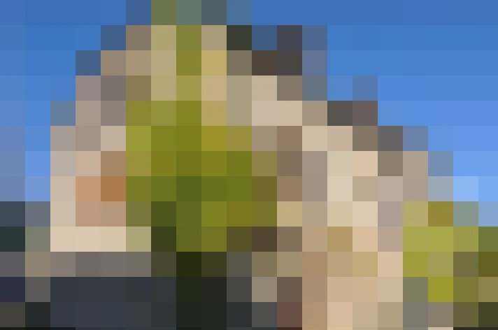  / #12