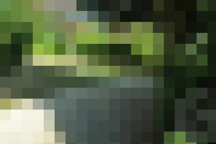  / #17