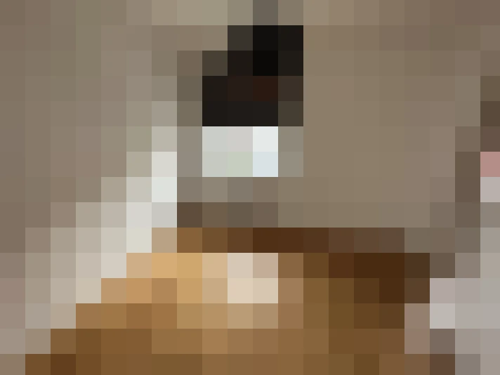  / #20