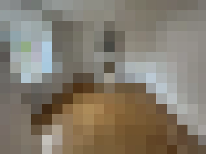  / #19