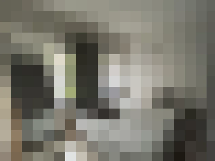  / #15