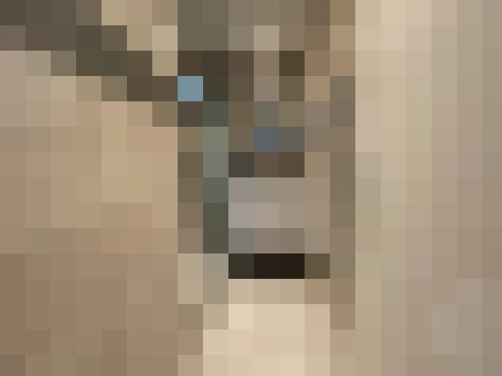  / #7
