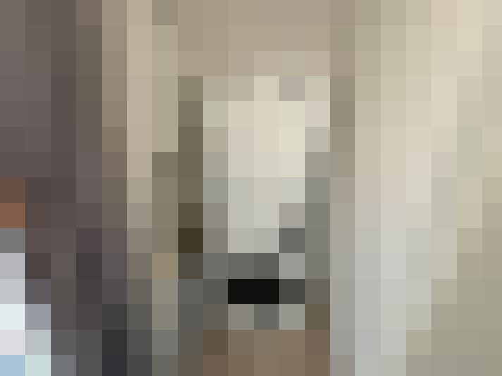  / #17